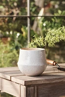 Speckled Bell Ceramic Planter, 6"