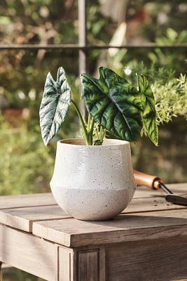 Speckled Bell Ceramic Planter, 6"