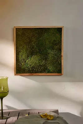 Mood Moss in Frame