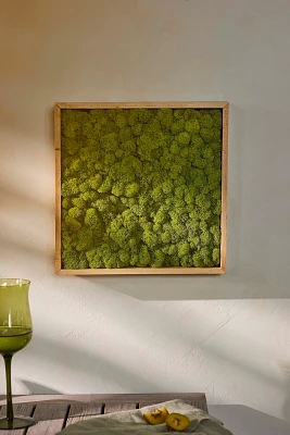 Framed Reindeer Moss