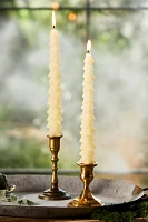 Tree Unscented Taper Candles, Set of 2