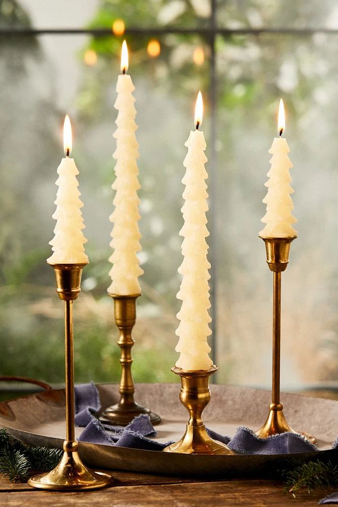 Tree Unscented Taper Candles, Set of 2