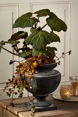 Rounded Cast Iron Urn Planter