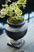 Rounded Cast Iron Urn Planter