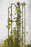 Winged Iron Trellis