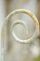 Fiddlehead Iron Stake