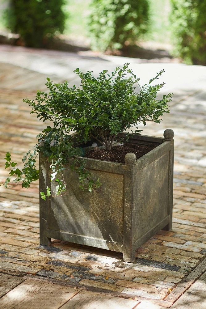 Square Galvanized Planter