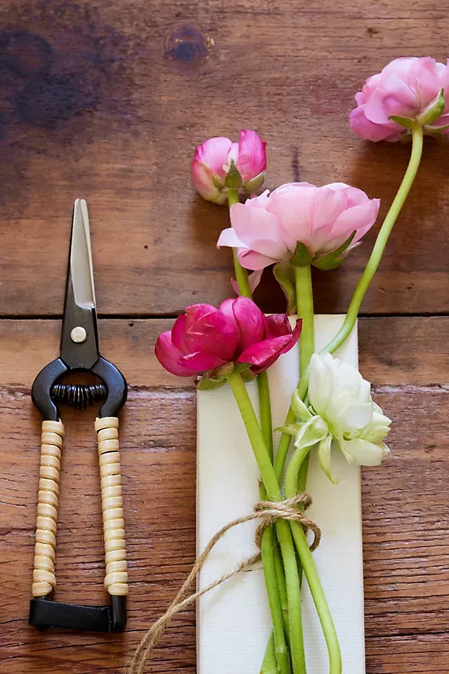 Niwaki Rattan Snips