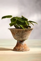 Fluted Iron Urn Planter