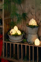 LED Pine Cones, Set of 4