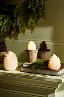 LED Pine Cone