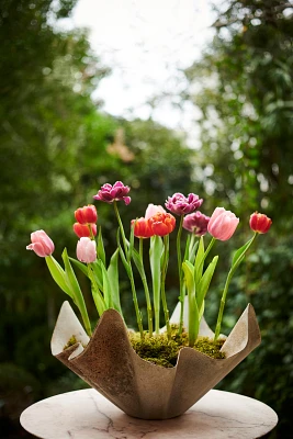 Handkerchief Iron Bowl Planter, 20"