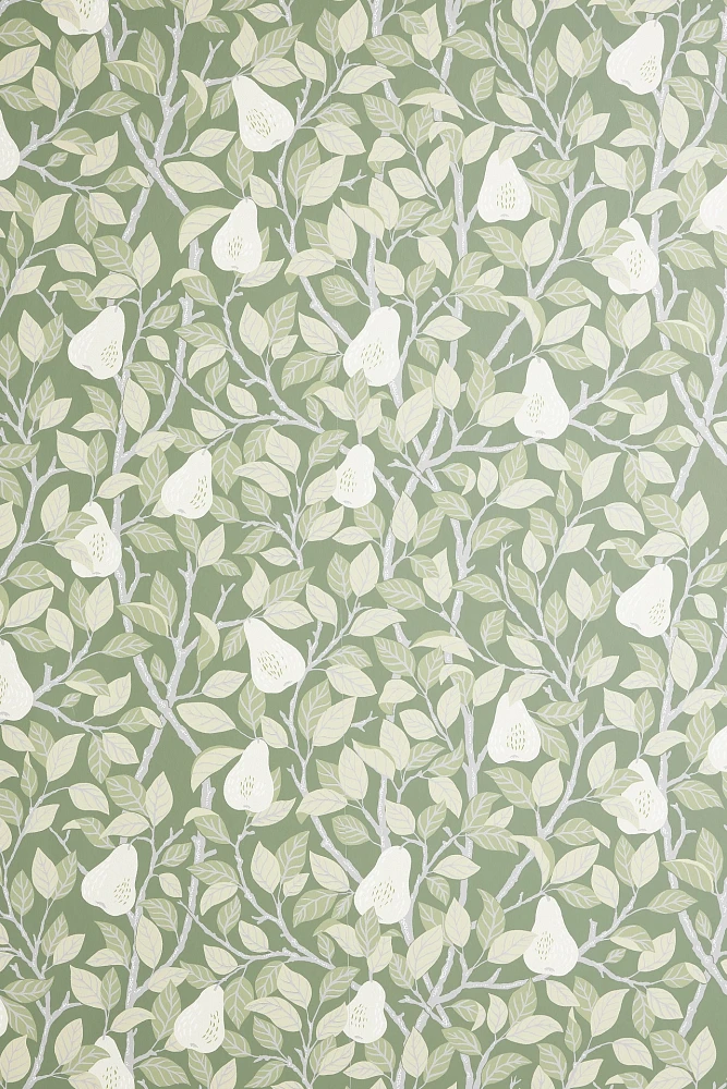 Pirum Pear Wallpaper