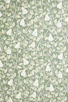 Pirum Pear Wallpaper