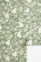 Pirum Pear Wallpaper