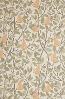 Pirum Pear Wallpaper