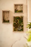 Wall-Mounted Plantable Frame