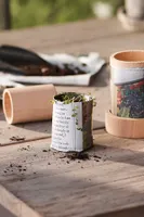 Seedling Paper Pot Making Kit