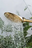 Haws Brass Watering Lance