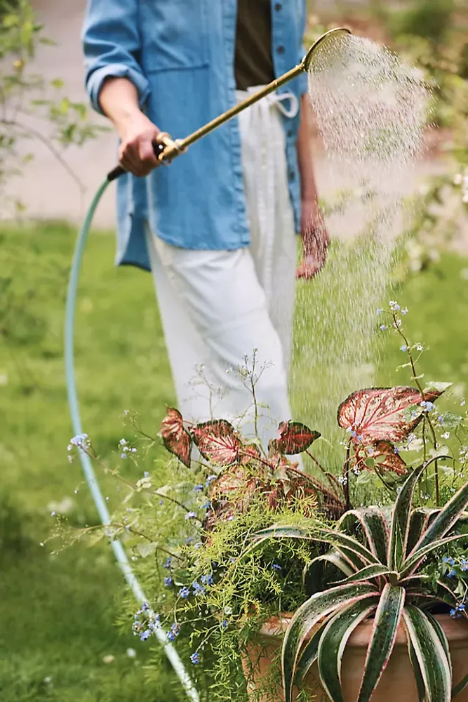 Haws Brass Watering Lance