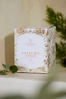 Linnea Candle, Satsuma Sage