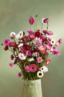 Fresh Cut Paper Daisy Bunch