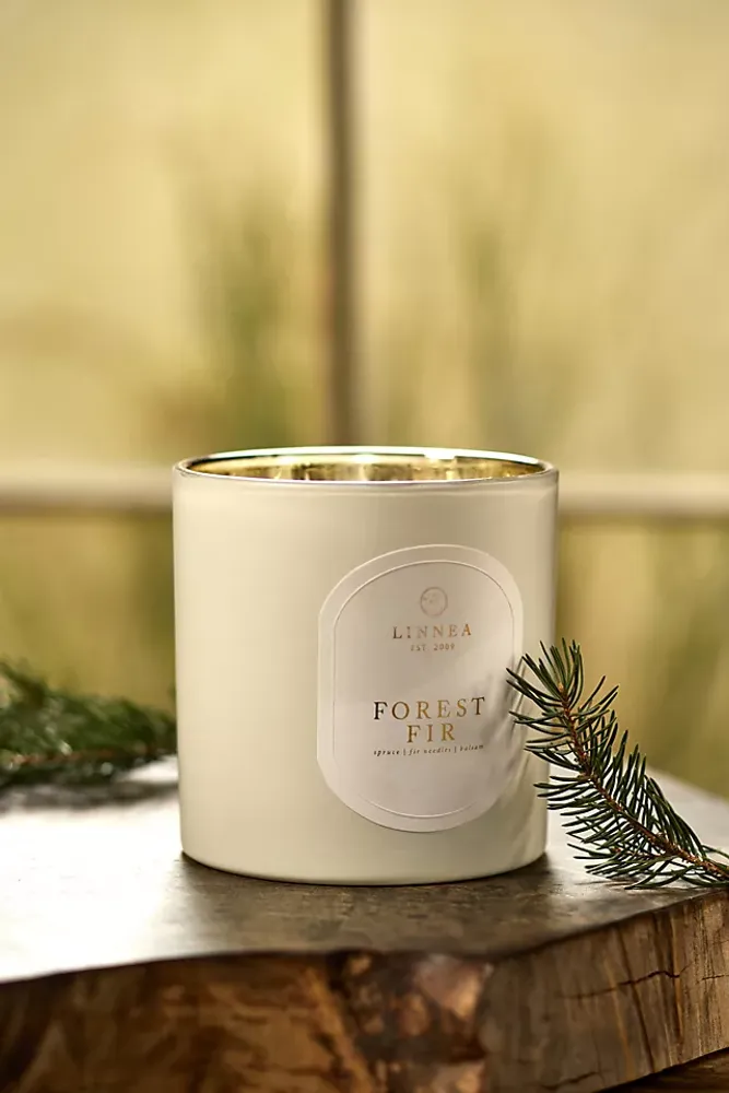 Linnea Extra Large Candle, Forest Fir