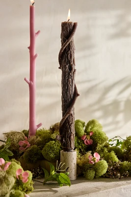 Bittersweet Oak Stick Candle