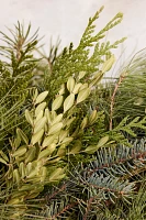 Fresh Noble Fir + Boxwood Wreath