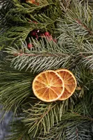 Fresh Noble Fir, Cedar + Orange Wreath
