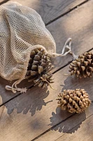 Firestarter Beeswax Pine Cones