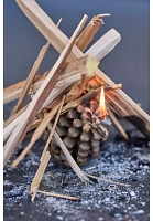 Firestarter Beeswax Pine Cones