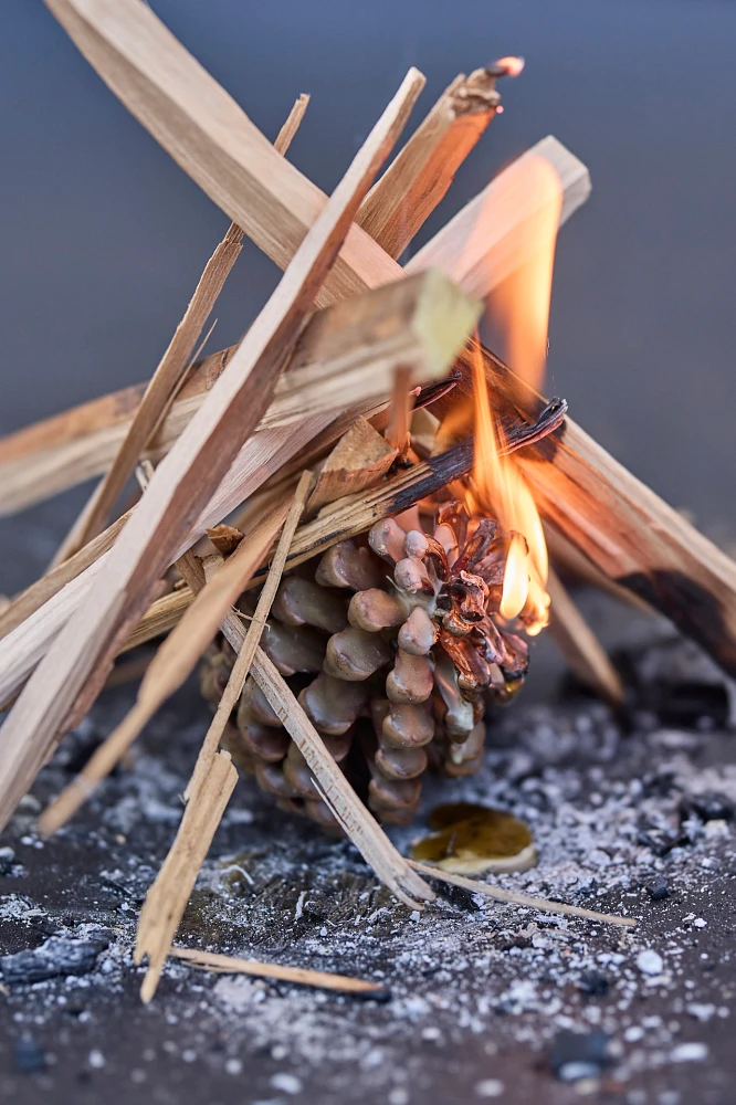 Firestarter Beeswax Pine Cones