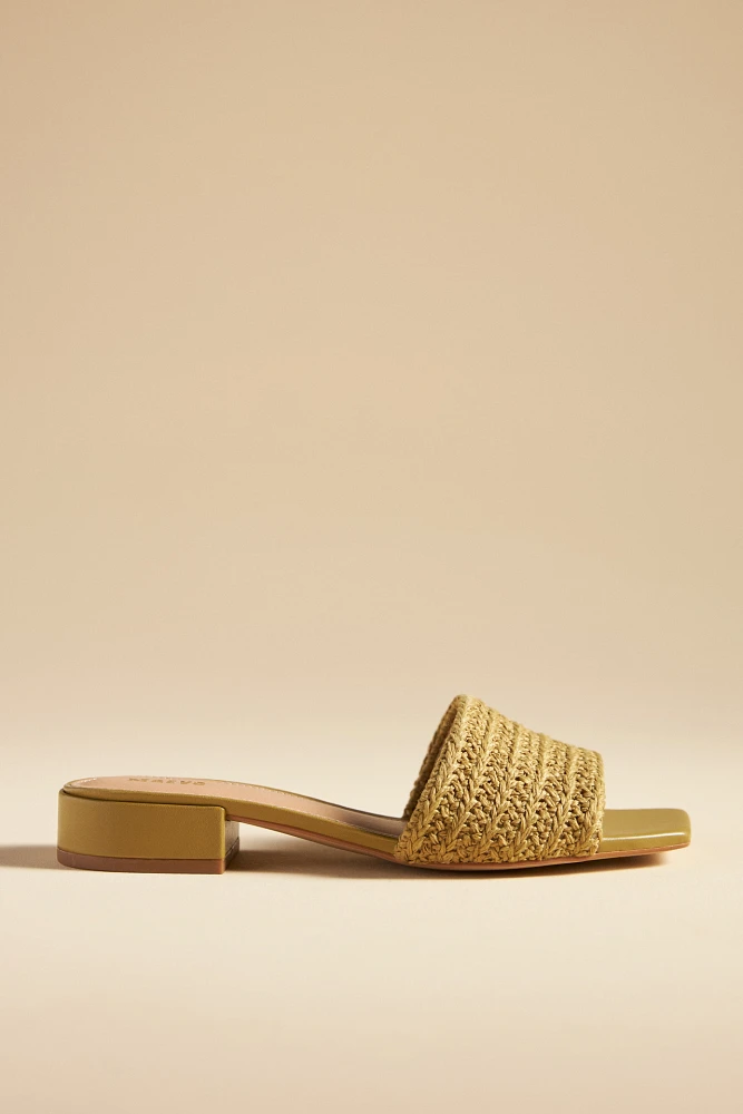 The Coralie Mule Slide Sandals by Maeve