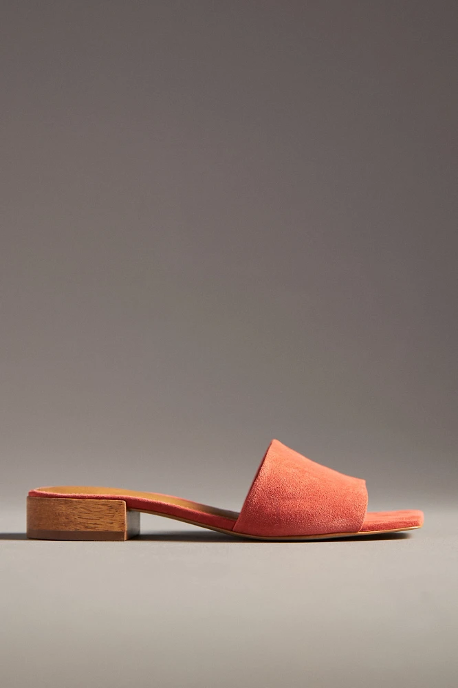 The Coralie Mule Slide Sandals by Maeve
