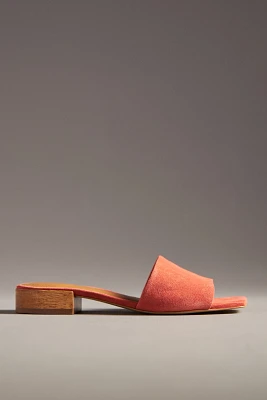 The Coralie Mule Slide Sandals by Maeve