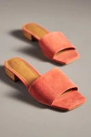The Coralie Mule Slide Sandals by Maeve
