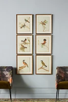 Birds of Autumn Wall Art