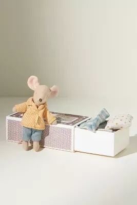 Big Brother Mouse in a Box