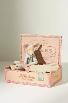 Mum & Dad Mouse a Box