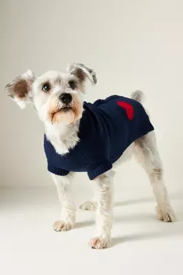 WARE of the Dog Heart Sweater