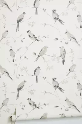 Bird Song Wallpaper