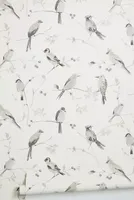 Bird Song Wallpaper