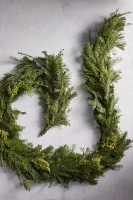 Fresh Noble Fir + Golden Juniper Garland