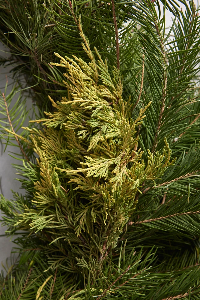 Fresh Noble Fir + Golden Juniper Garland