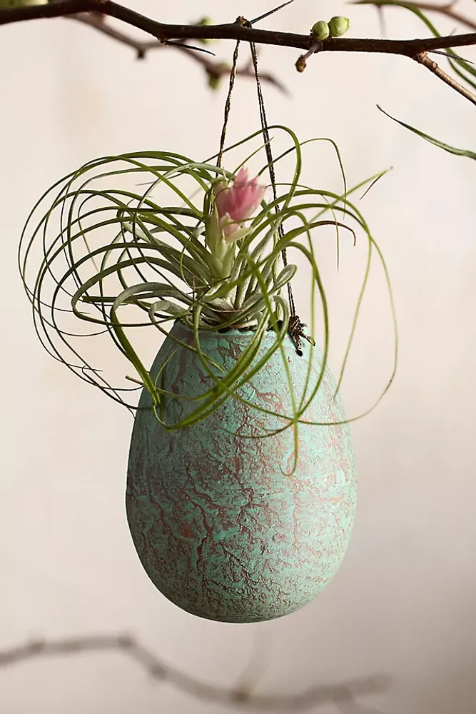 Egg Verdirgis Hanging Planter