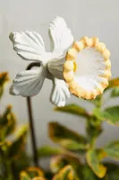 Daffodil Iron Stake