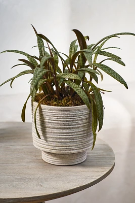 Ridged Texture Footed Planter