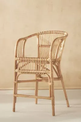 Pari Rattan Counter Stool Chair