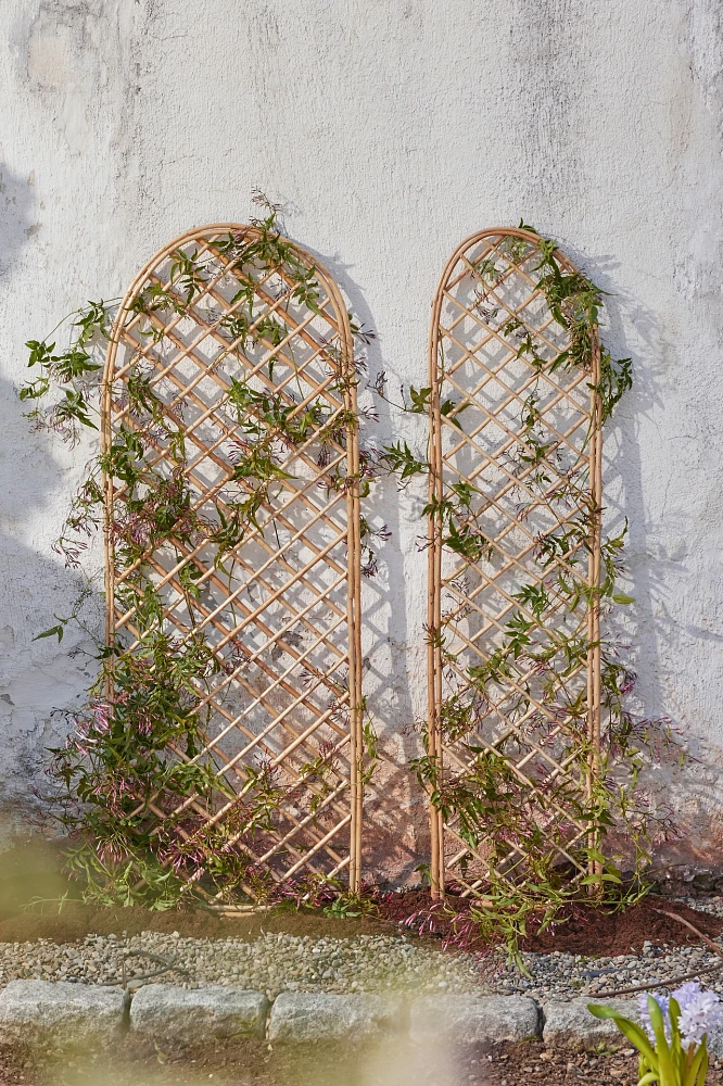 Rounded Top Willow Trellis